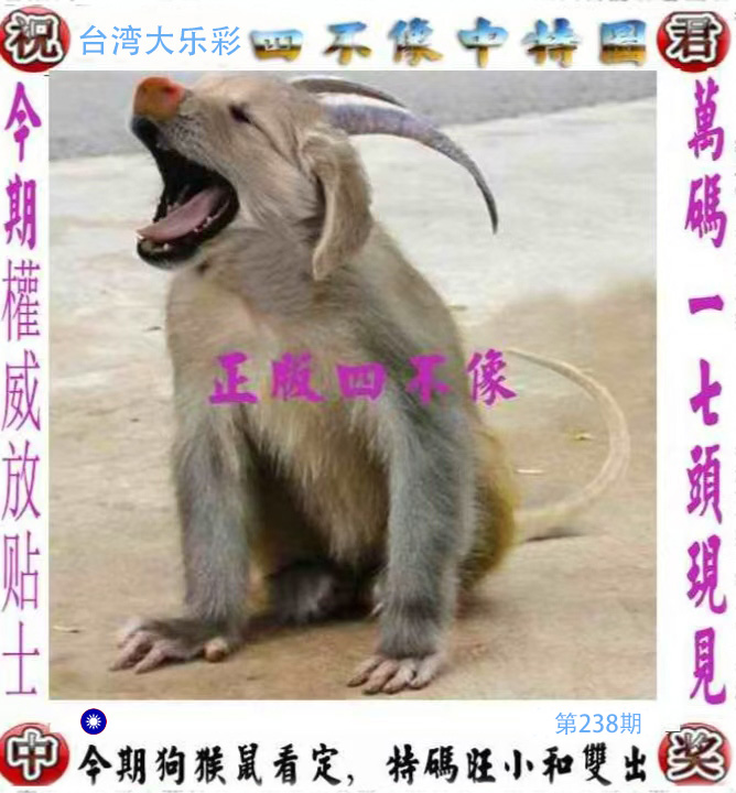 First Image