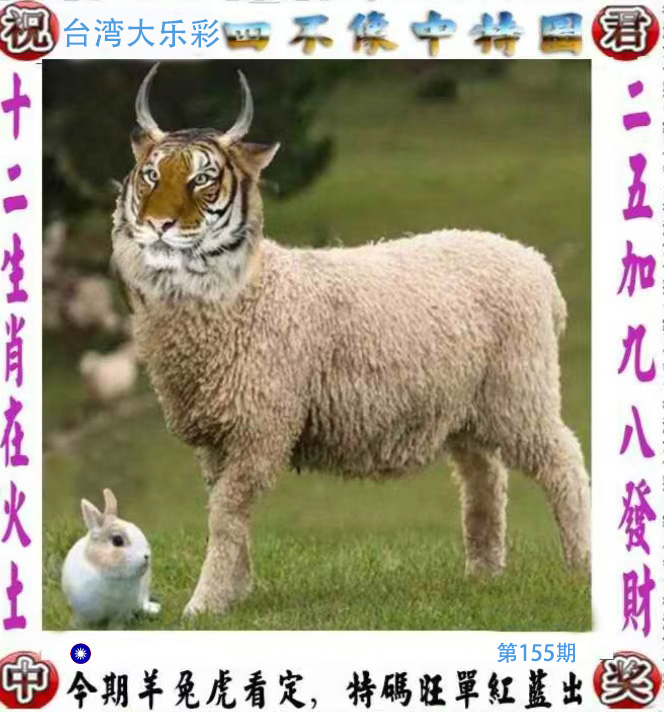 First Image