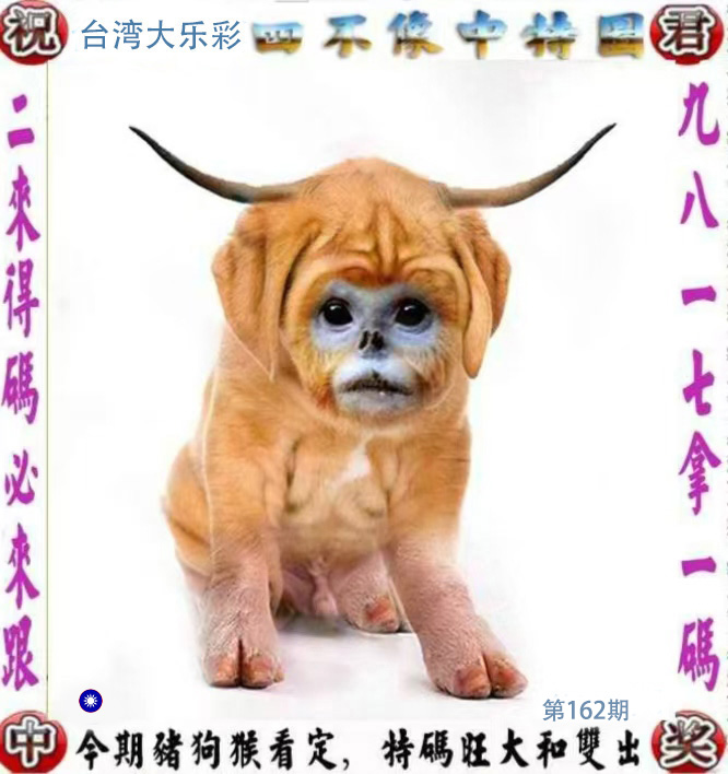 First Image