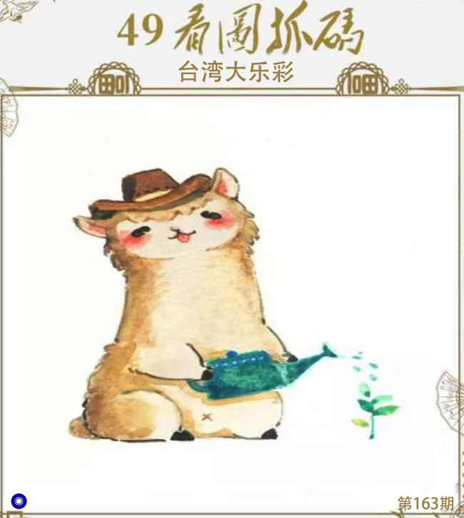 First Image