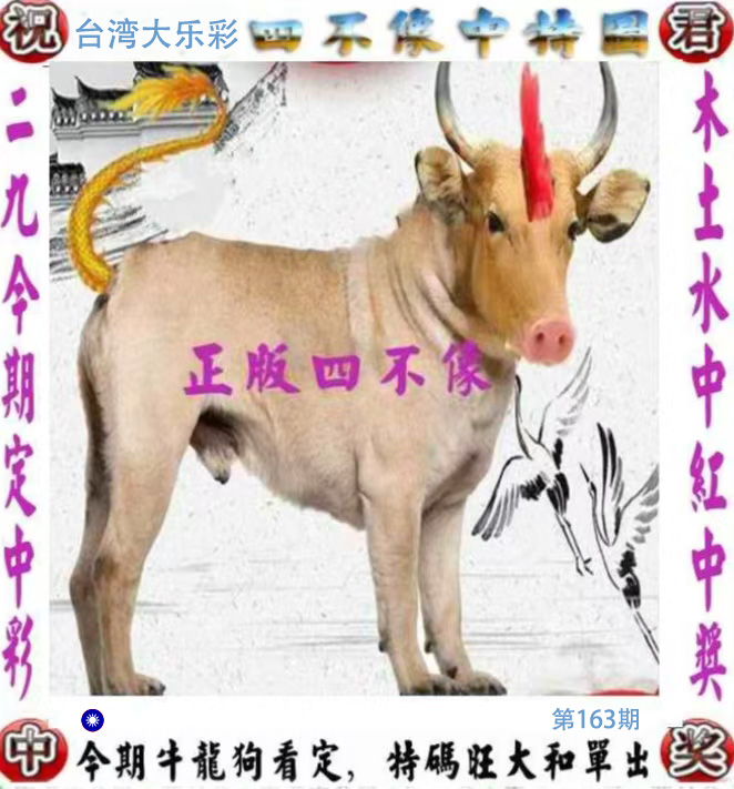 First Image