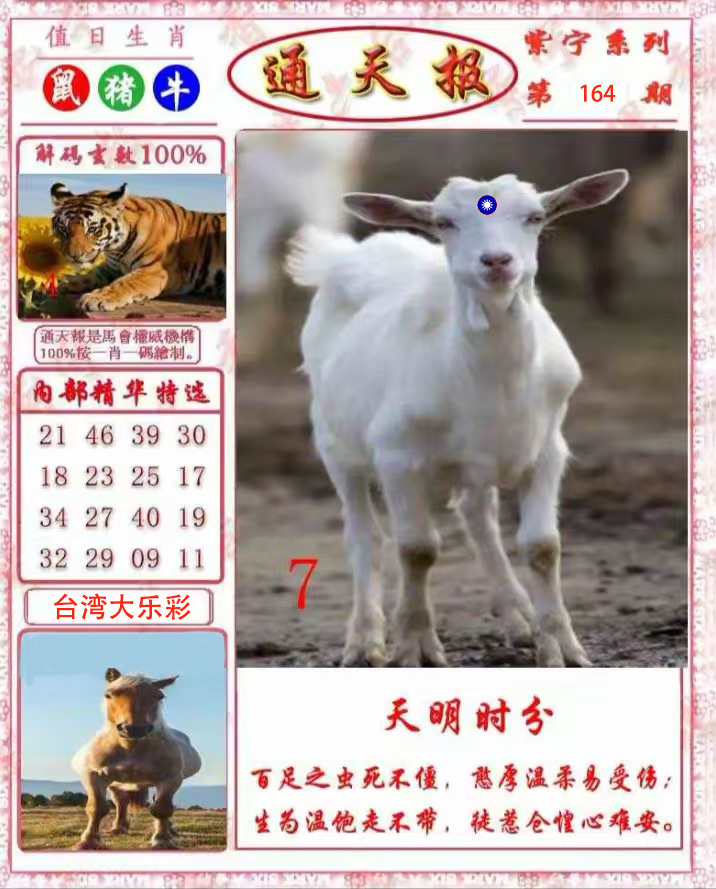 First Image