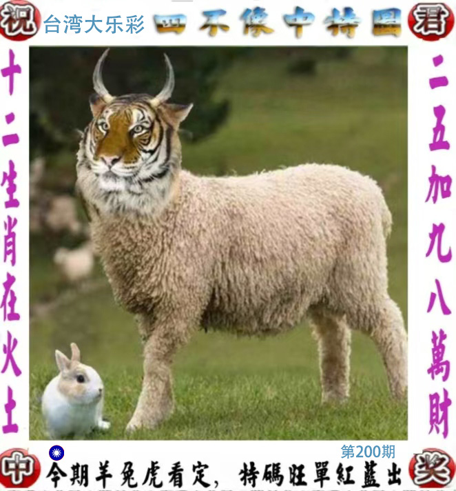First Image