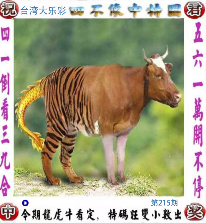 First Image