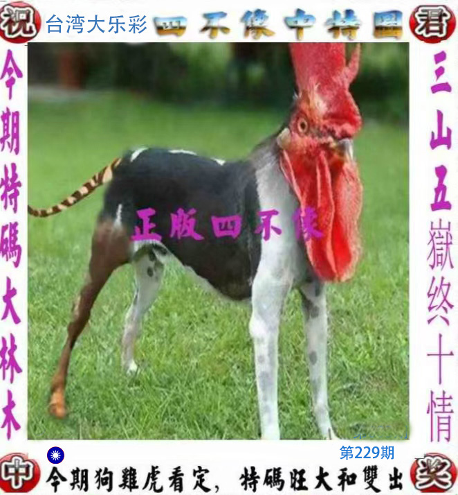First Image