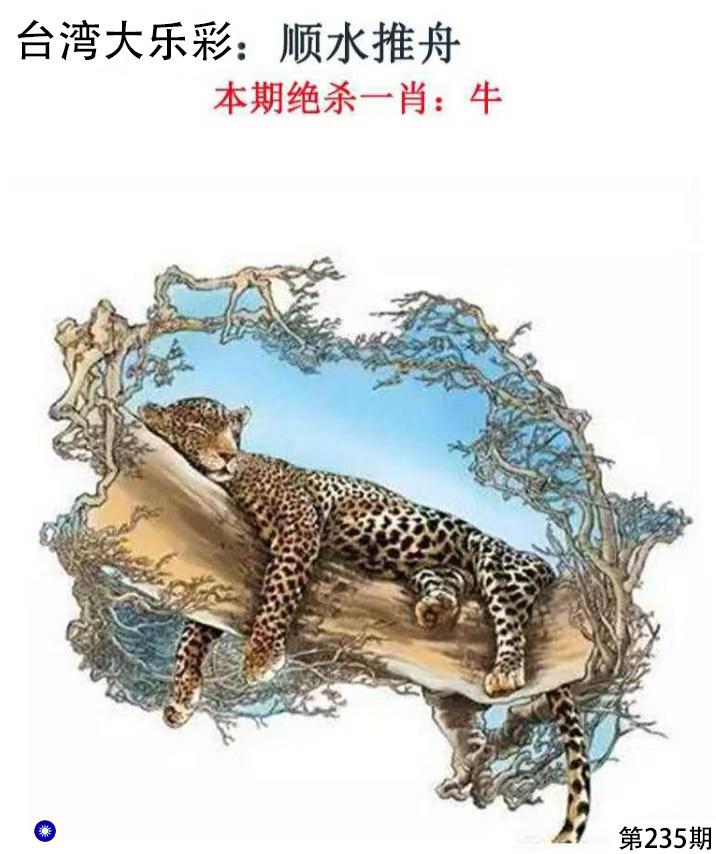 First Image