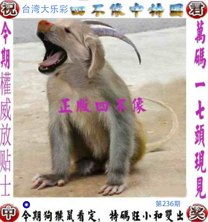 First Image