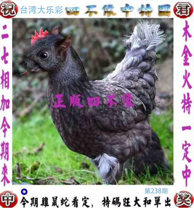 First Image
