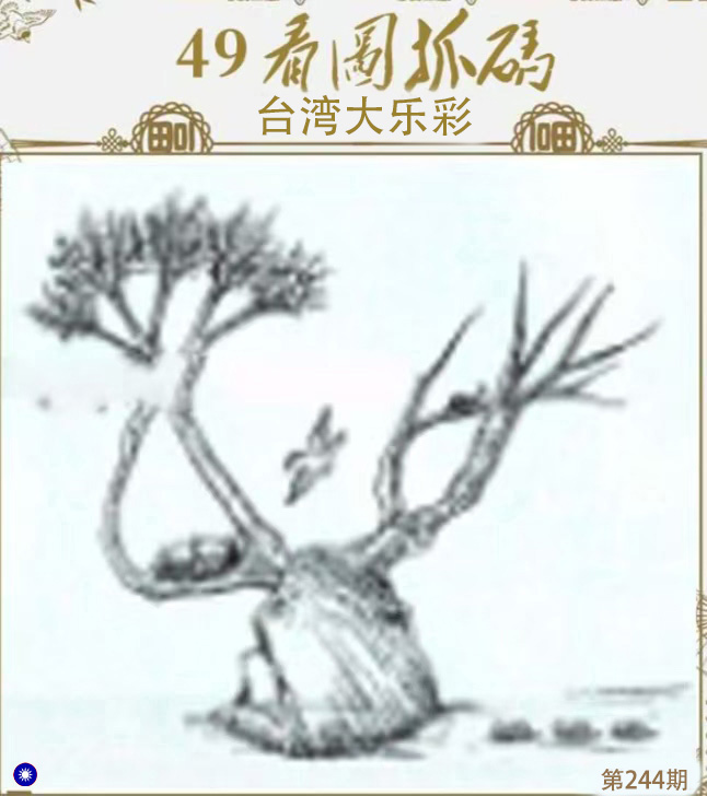 First Image