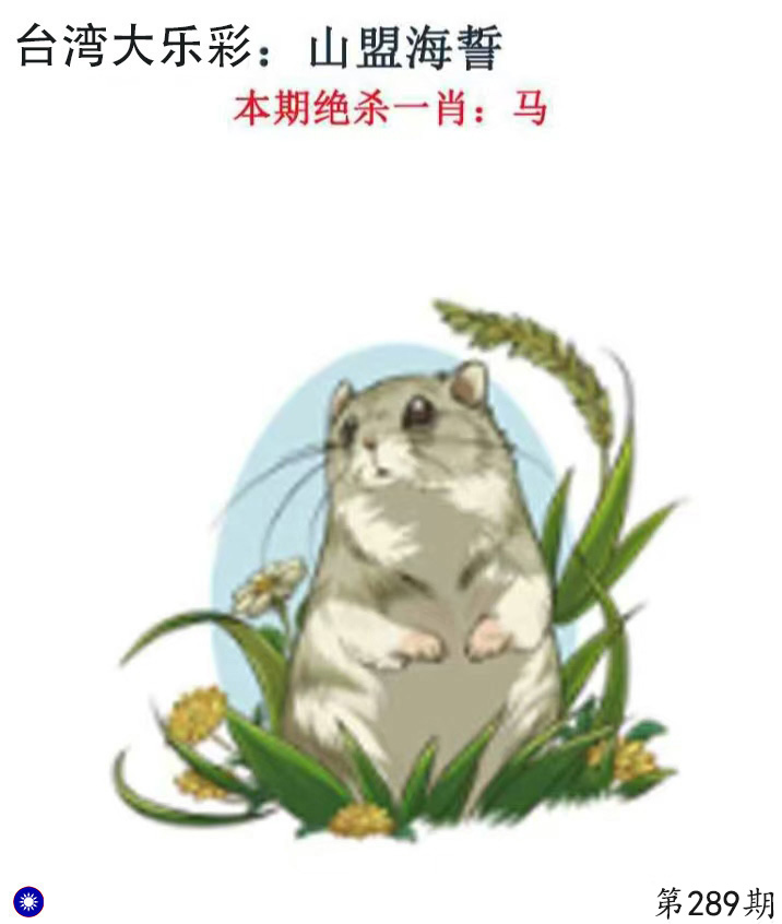 First Image