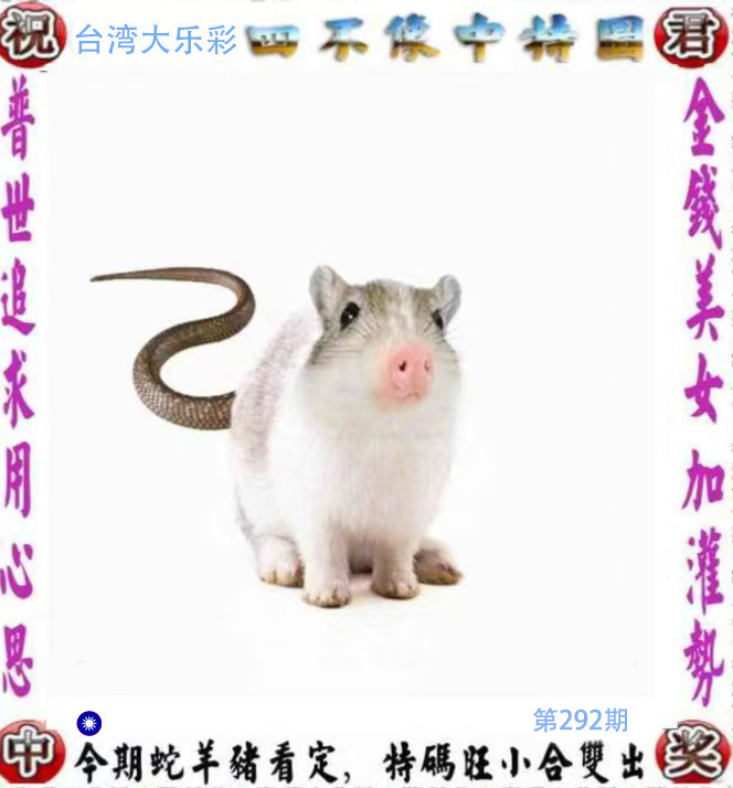First Image